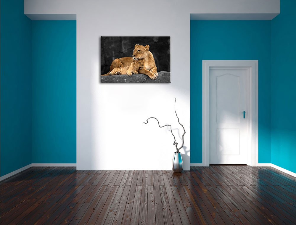 Pixxprint Löwe Löwenjungen, Größe: 120x80cm, Leinwandbild, fertig gespannt, Wandbild, Dekoration, Kunstdruck, kein Poster