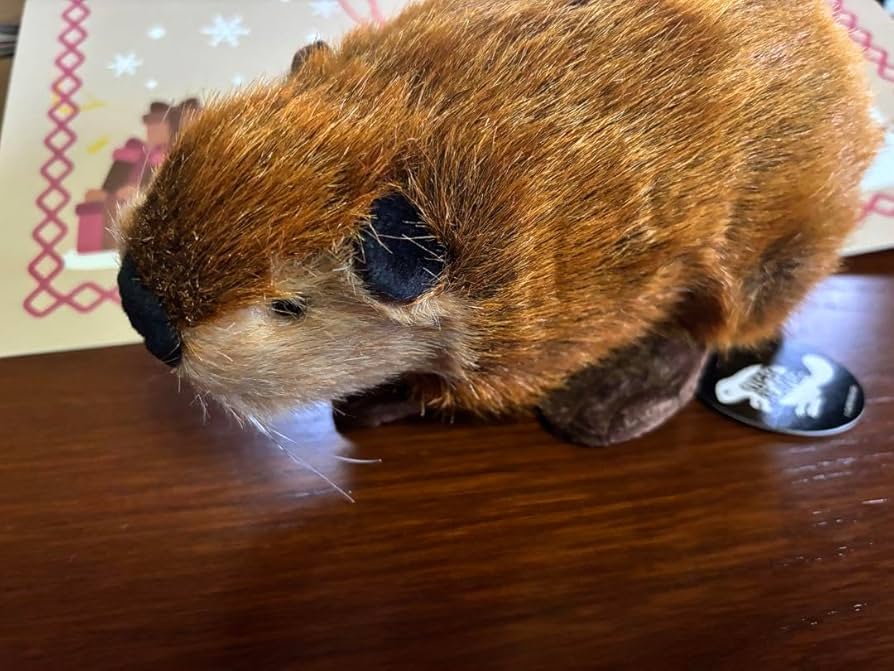 SUPER BEAVER スーパービーバーちゃん ぬいぐるみ　吉徳 Amazon.co.jp: 吉徳 SUPER BEAVER スーパービーバーちゃん