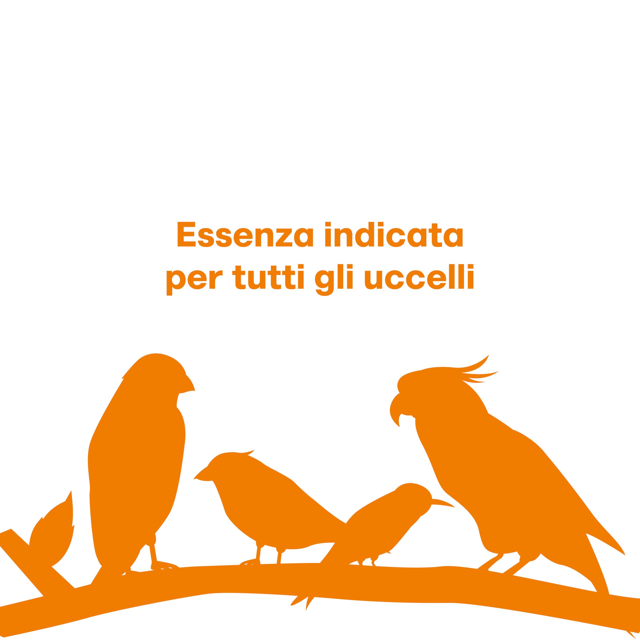 Il Contadino - Antichi Becchimi | Canapa AD Uso ZOOTECNICO | Essenza di Semi Selezionati e Super Ventilati, No OGM, 100% Vegetale, Assenza di scarti. qualità Superiore (20 kg)