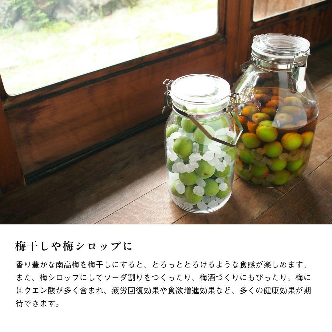 きょうまま 青梅3kg Amazon.co.jp: 伊藤農園 南高梅 青梅 3kg 生梅 和歌山県産 梅酒用 梅干