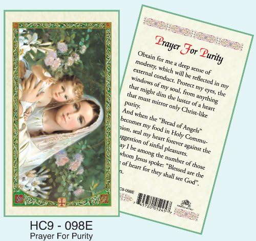 Amazon.com: Prayer for Purity Laminated Prayer Cards - Pack of 25 - HC9 ...