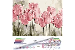 Unleash Your Inner Artist with BAISITE Adult Paint by Number Kit