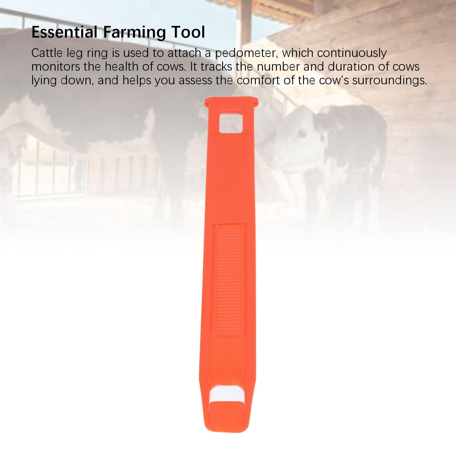10 szt. Opaski na nogi z krokomierzem dla krów Plastikowa, lekka, miękka opaska na nogę dla bydła do monitorowania gospodarstwa Zdrowie nabiału Wykrywanie rui Zarządzanie