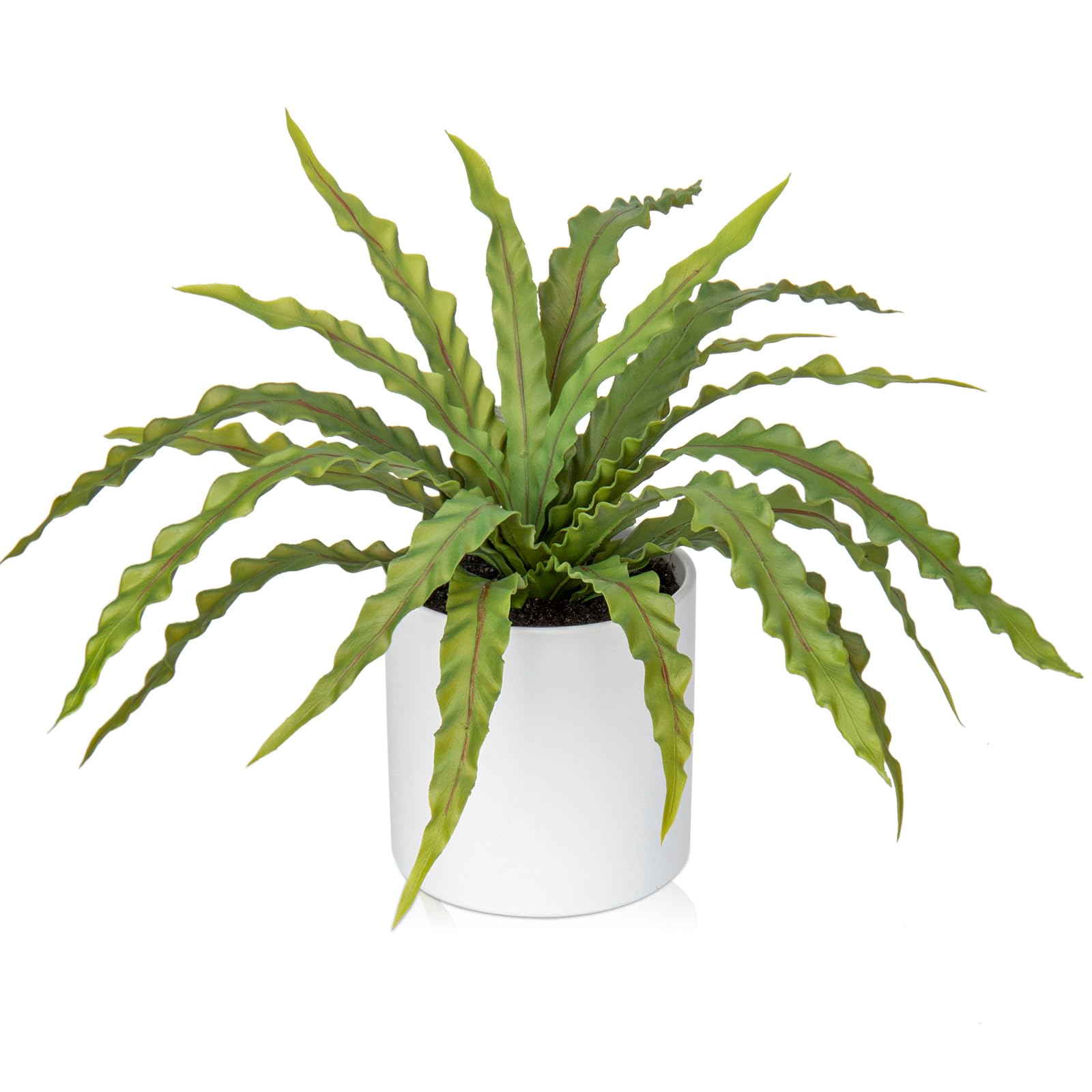 Artificial Fern Plant in Ceramic Pot, 11 Inch Fake Bird’s Nest Ferns Plants Faux Potted Fern Plants for Home Living Room Bathroom Kitchen Office Table Indoor Decor