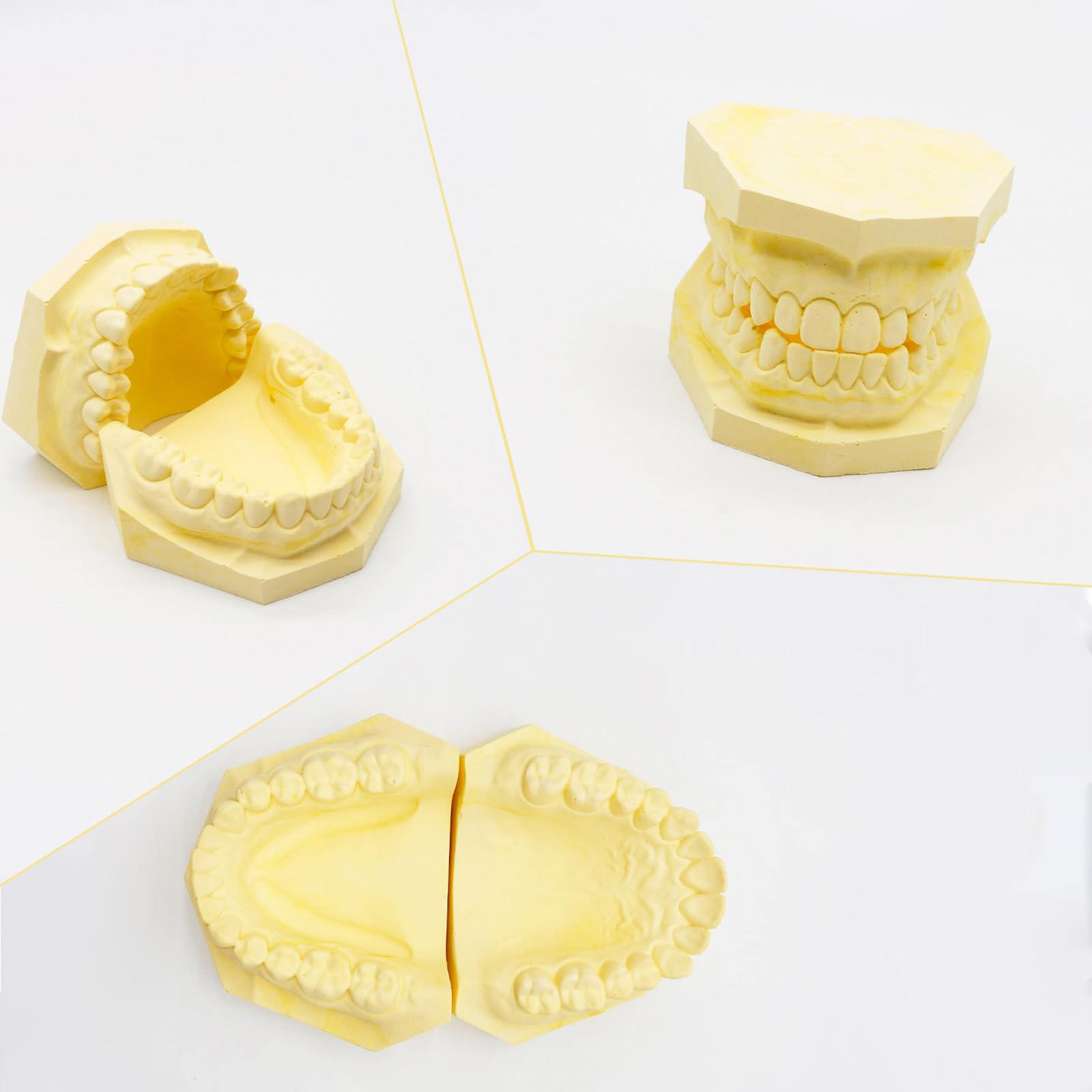 4 szt. Gipsowy model dentystyczny standardowe modele tynków z zębami i bez zębów model dentystyczny do nauki nauczania