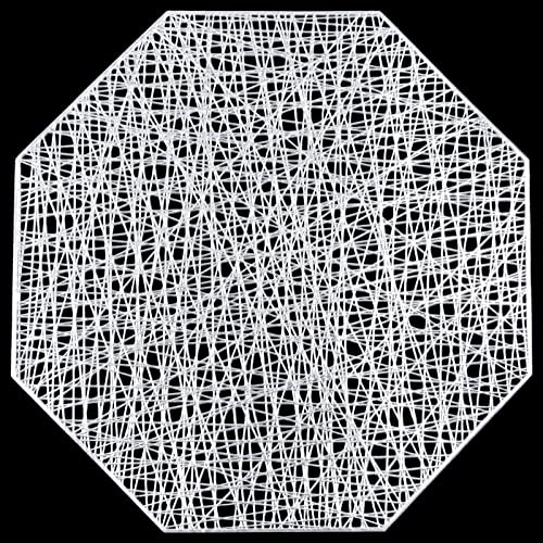 U'artlines Octagonal Placemats Hollow Out Mats Vinyl Non-Slip Heat Insulation Kitchen Table Mats (Octagonal Silver, 6Pcs) #TOP1