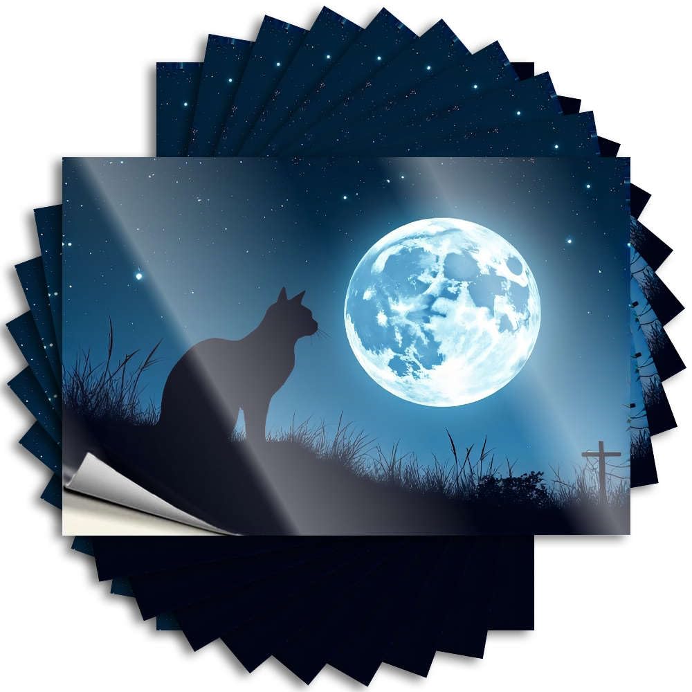 Tattoo Guest Bathroom Decor | Autumn Water A Silhouette of A Cat Under A Full Moon. for Silicone(8X12CM)