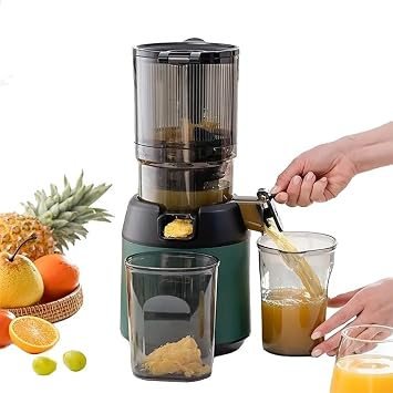 Professional Slow Juicer With 13cm Feeding Chute, 300W For Fruits Vegetables, Portable Pomace Separation