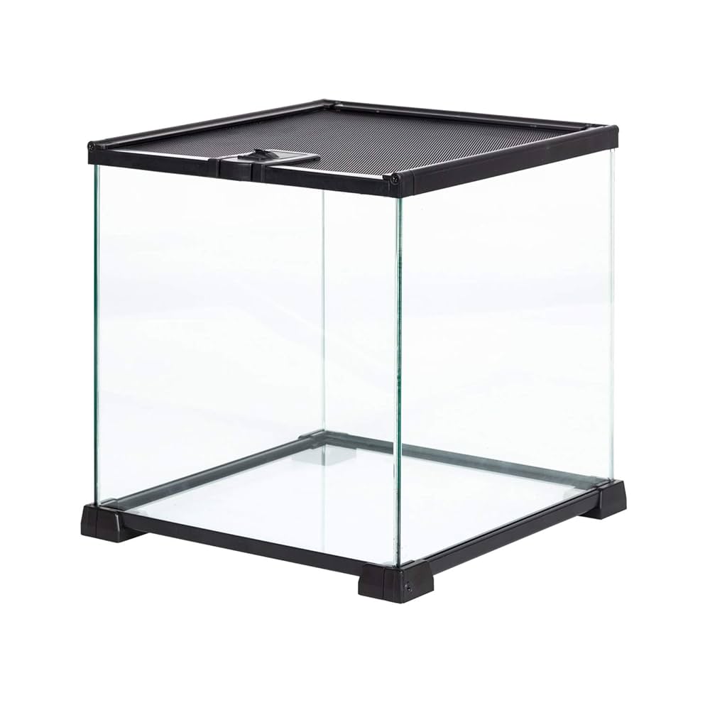 Amazon.com : REPTIZOO Small Glass Tank 8 Gallon, Top Opening