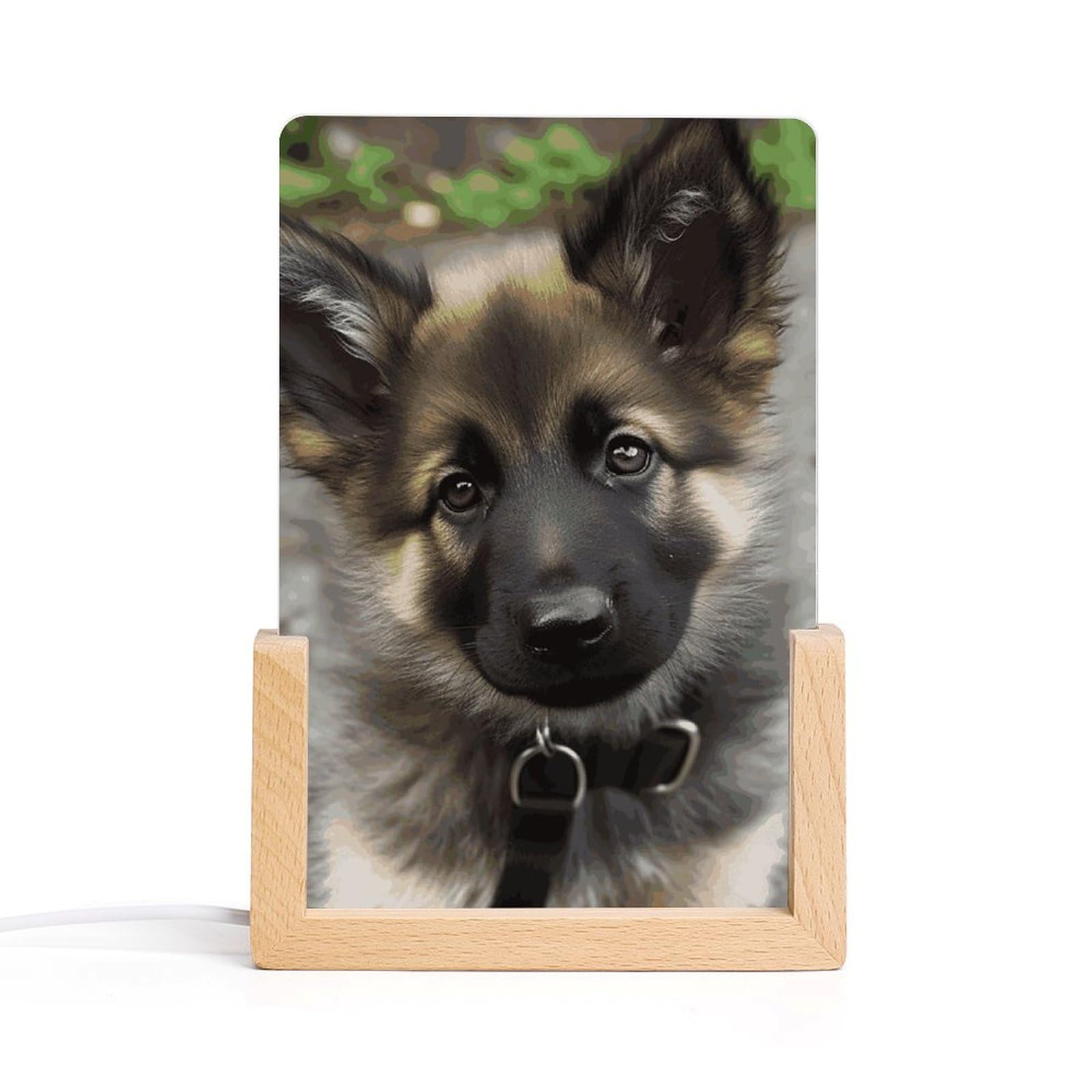JTREHY Acrylic Night Light,Cute German Shepherd Puppy Printed Wooden Base LED Night Light Modern Home Decoration Light with USB Switch Cable for Bar Cafe Bedroom Room Decoration