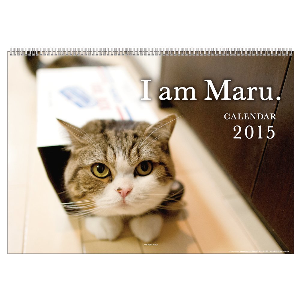 15 Calendar Cat Maru Chan Wallcalendar Japan Import Office Products Amazon Com