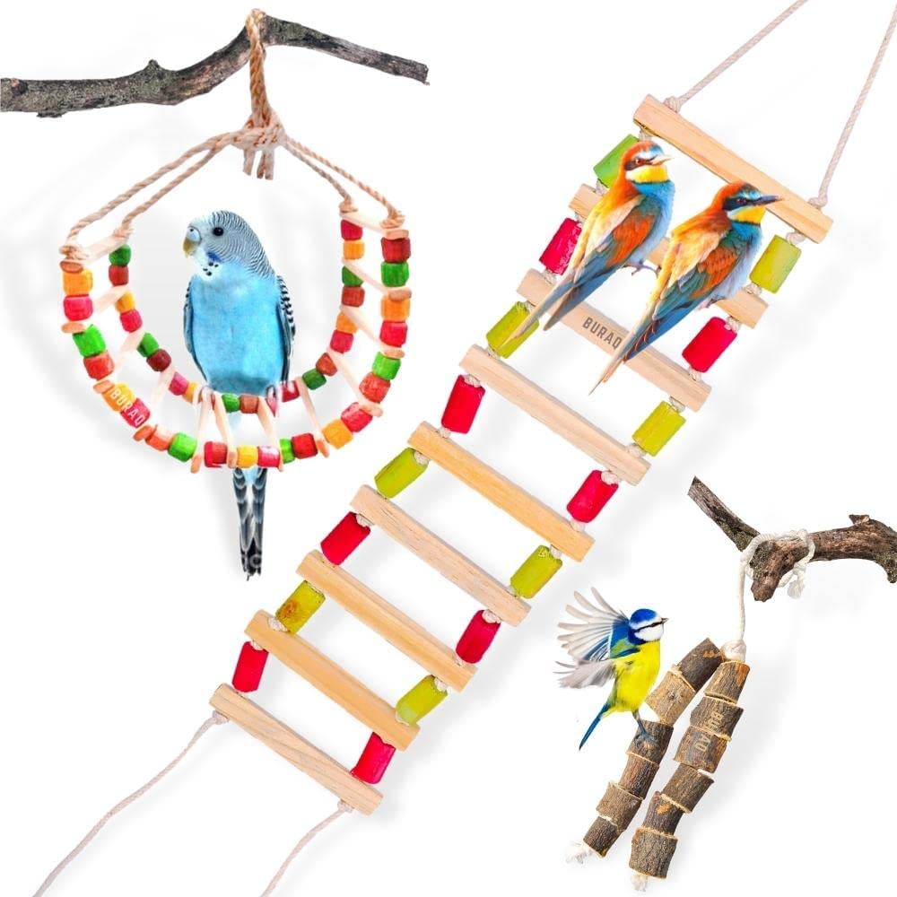 BURAQ 2 Pcs Bird Toys Basic - Bird Ladder | Hanging Chewable Bird Toy Made with Bamboo | Suitable for Birds (Basic - Bird Toys) (B0BSGNJLLZ) Amazon Price History, Amazon Price Tracker