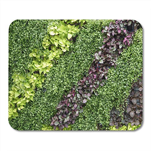 Preisvergleich Produktbild Mauspads Blumen-Wand-frischer grüner Garten-Grundform-Pflanzen-Zusammenfas... für Notizbücher, Tischrechnermatten Bürozubehöre