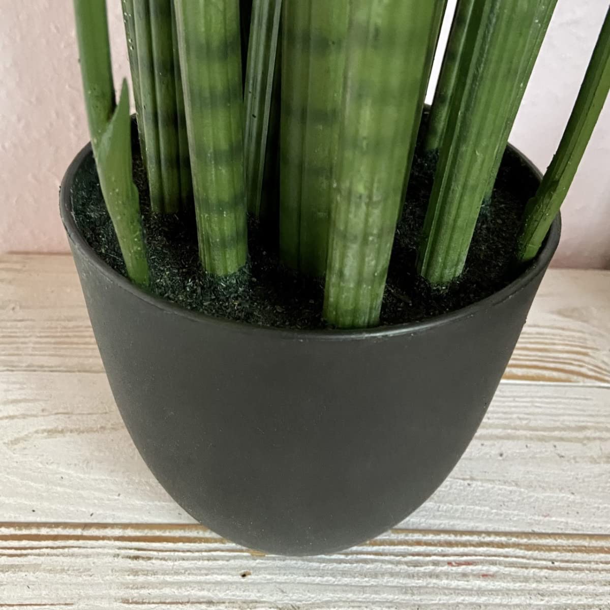 artplants.de Art Sansevieria Cylindrica Kichiro in Decorative Pot, Green,  70 cm - Plastic Succulent Plants : Amazon.com.be: Garden