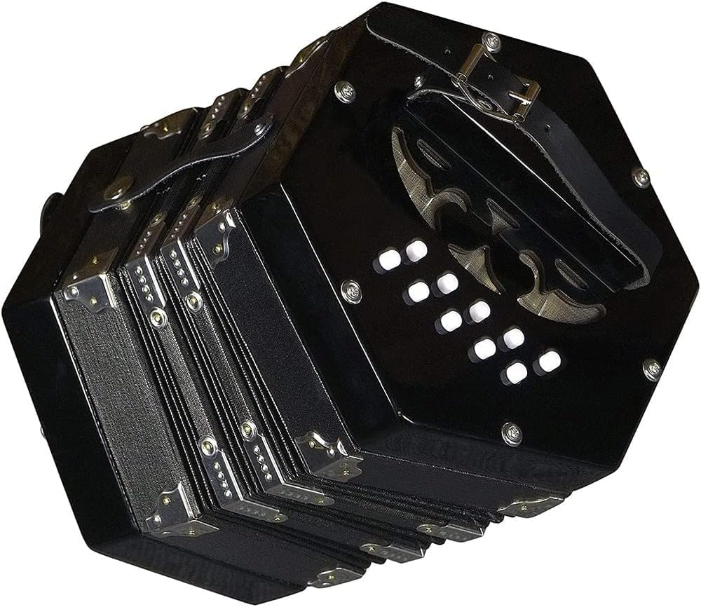Accordéon pour débutants adultes et enfants avec sangle réglable