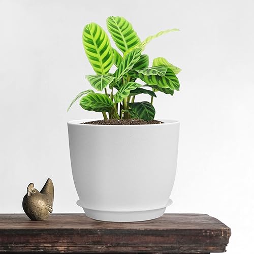 Miniatura 2 de UOUZ Macetas grandes y modernas, 12109, macetas de plástico con agujeros de drenaje y platillos para plantas de interior y exterior, flores, color