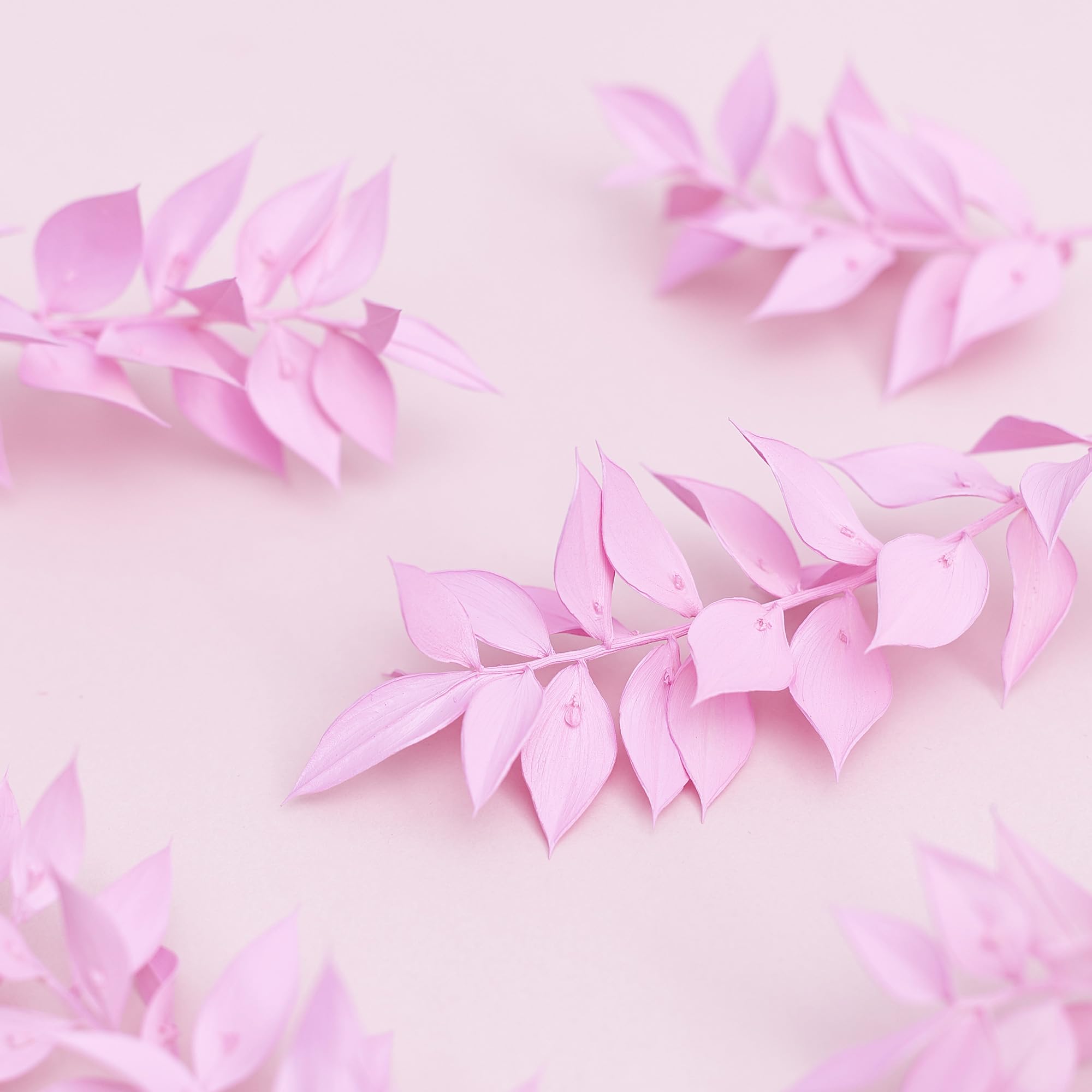The Baked Studio - Original Dried Flower Ruscus Set For Cake & Cupcake Decorating & Others Crafts (Candy Pink) - Image 3