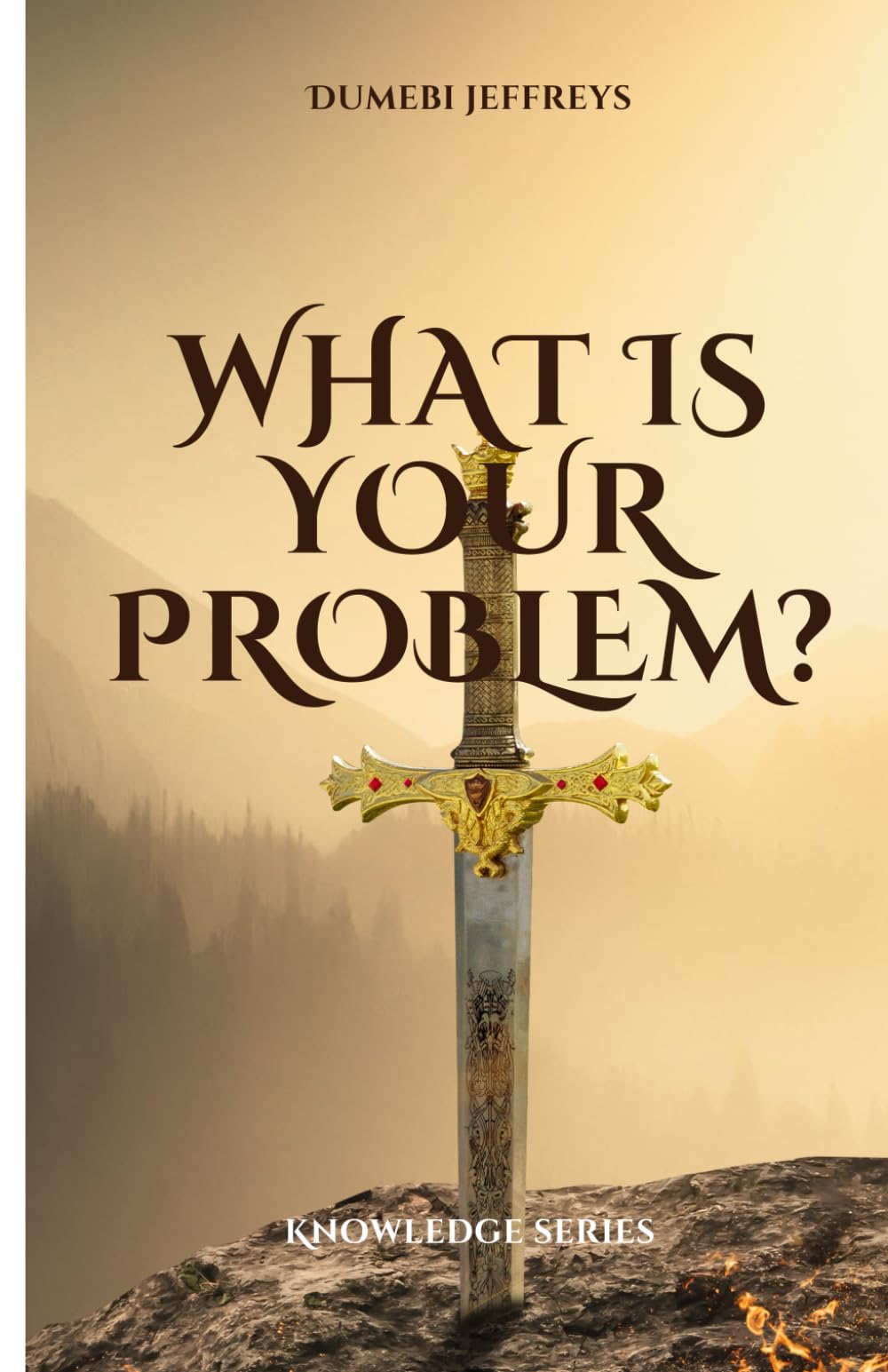 What is Your Problem? (Knowledge Series)