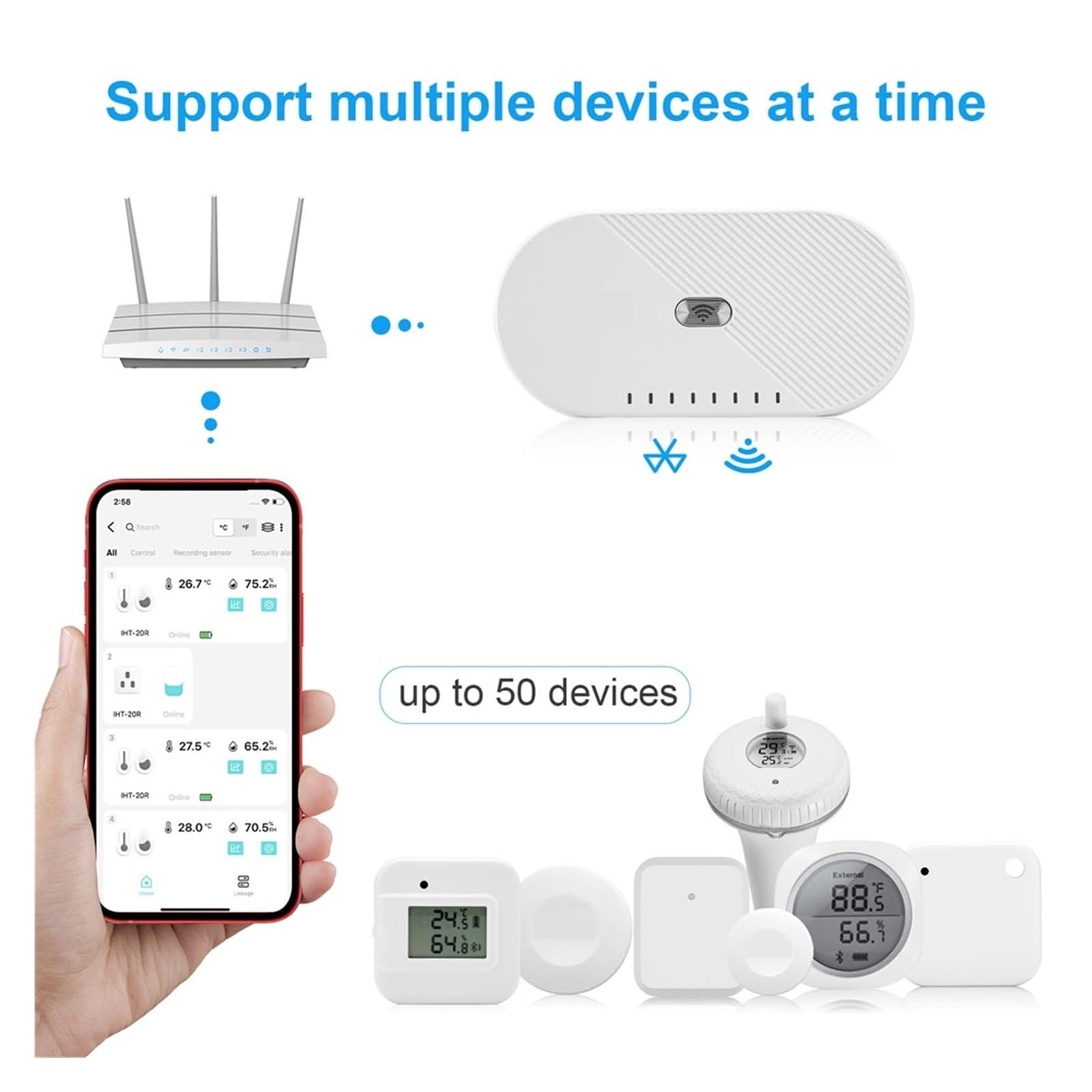 Termometro for Piscina con Sensore di Temperatura Acqua con Controllo Wireless O Bluetooth(P01R And Gateway)