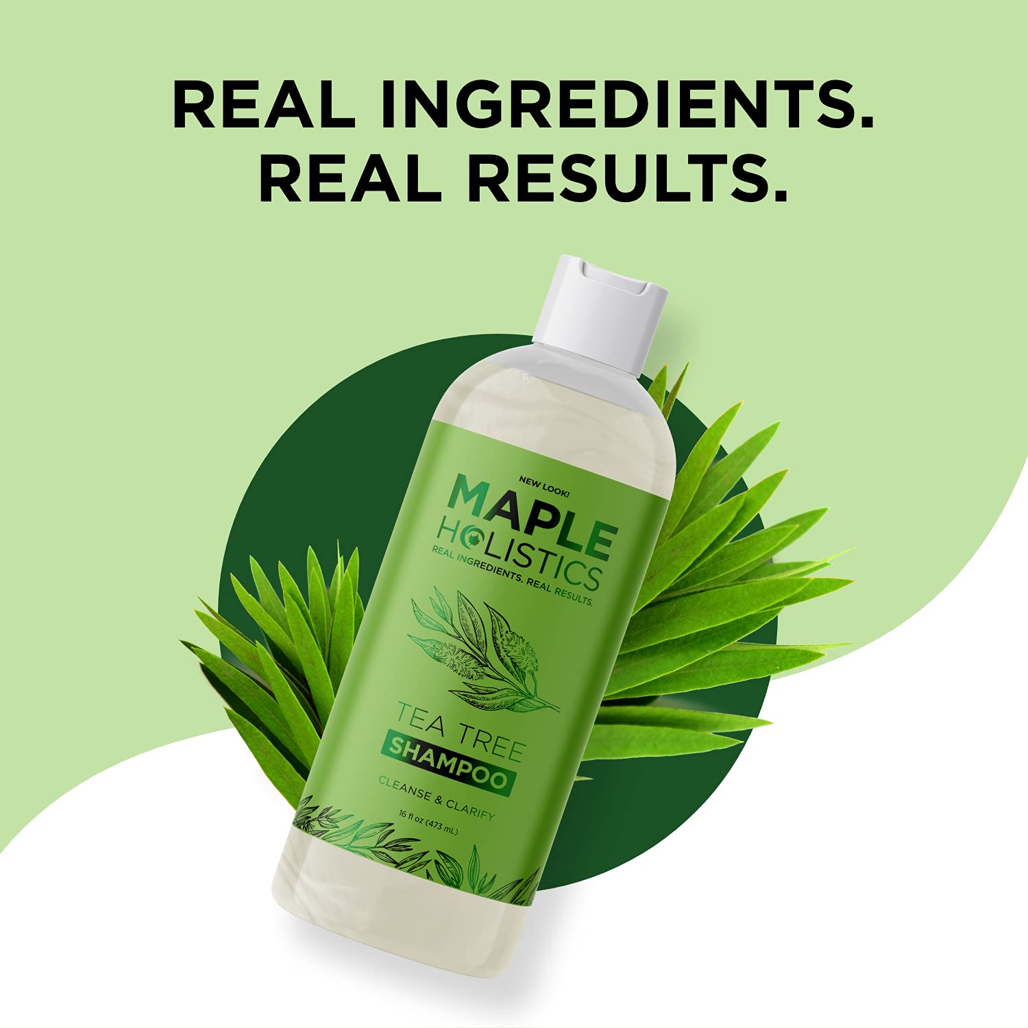 Refreshing Tea Tree Oil Shampoo Tea Tree Shampoo for Oily Scalp and