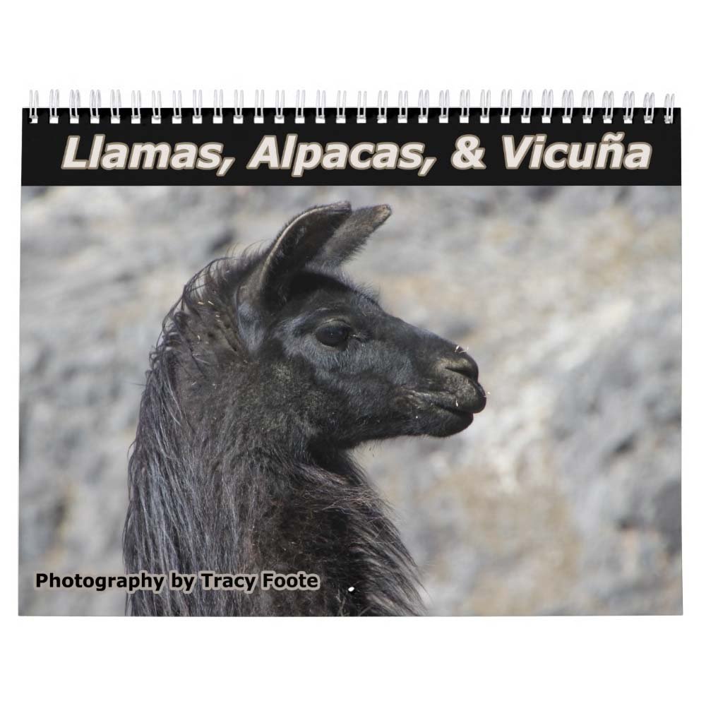 Llama Calendar - Best South America Images in Snow Capped Andes Mountains of Bolivia and Peru
