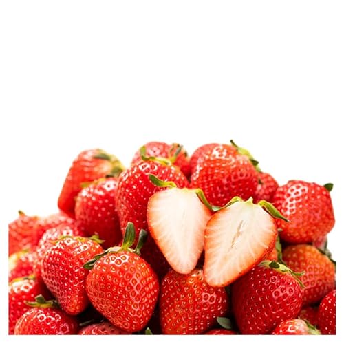 いちご 奈良県産 古都華 約1080g 270g×4パック 冷蔵配送 フルーツ 果物