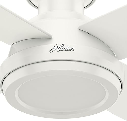 Miniatura 7 de Hunter Fan Company 59248 Dempsey - Ventilador de techo de perfil bajo con control remoto 52 pulgadas acabado blanco fresco