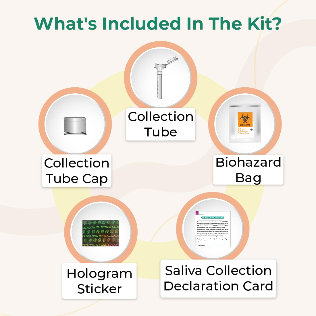 LifeCell At-Home Self-Collection InferGenes Female Test Kit | Detects- 26 Definitive Clinically-Relevant Genes Related To Female Infertility | At-Home Saliva Collection Kit | Easy To Use , Discreet & Convenient, Private & Safe. 3