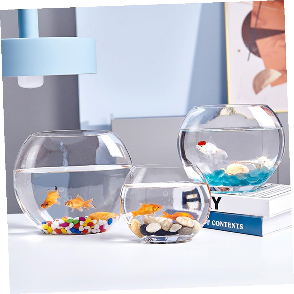 Beaupretty Glass Betta Tank Oval Desktop Aquarium Goldfish Bowl Mini Household Fish Supplies for Small Aquatic Pets