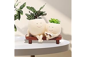 Smily Face Planter Pot for Plants