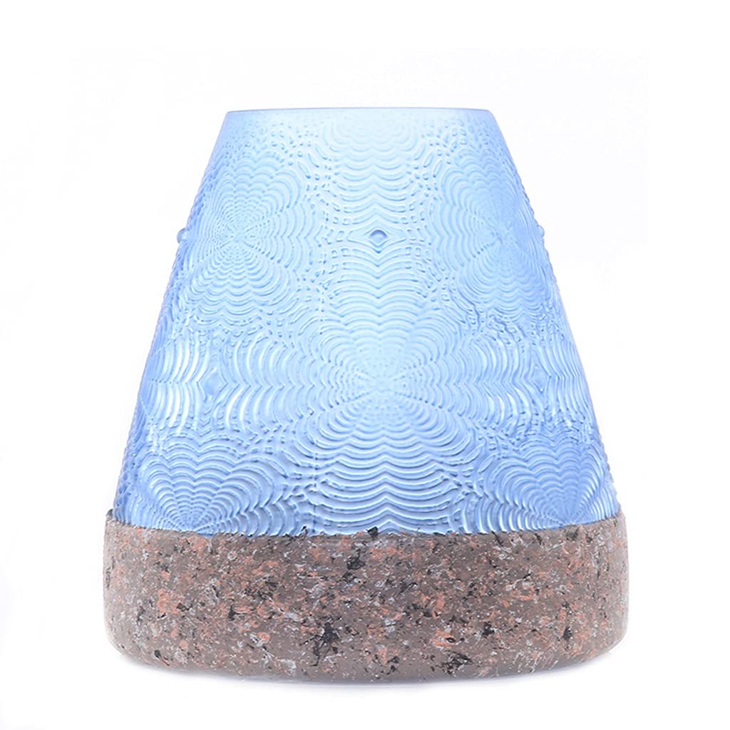 Vase decoration table hydroponique en verre pour salon de style ferme