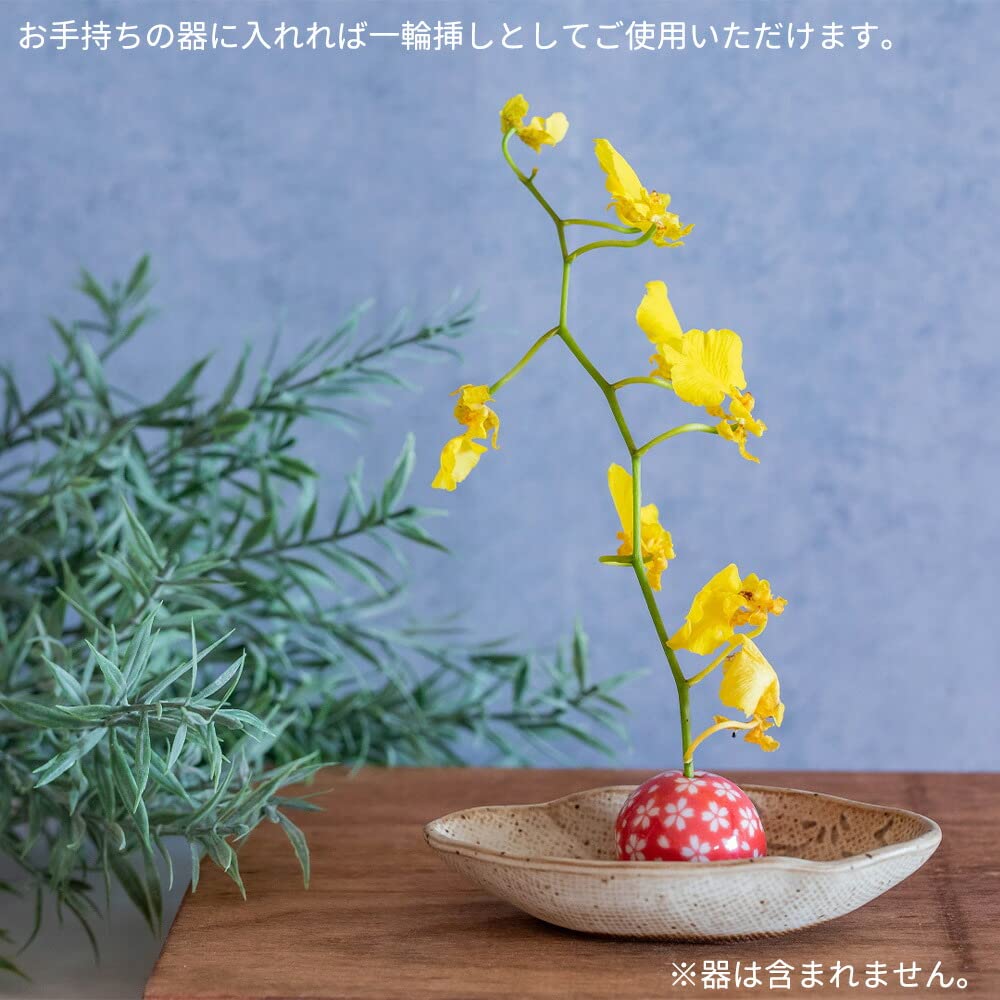 たこ唐草　一輪挿し Amazon.co.jp: ひまわり堂 陶玉 単品 大サイズ 一輪挿し (たこ