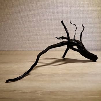 流木 アク抜 15cm 楽天市場】【全国送料無料】マツダ 天然流木アクぬき (アク抜き