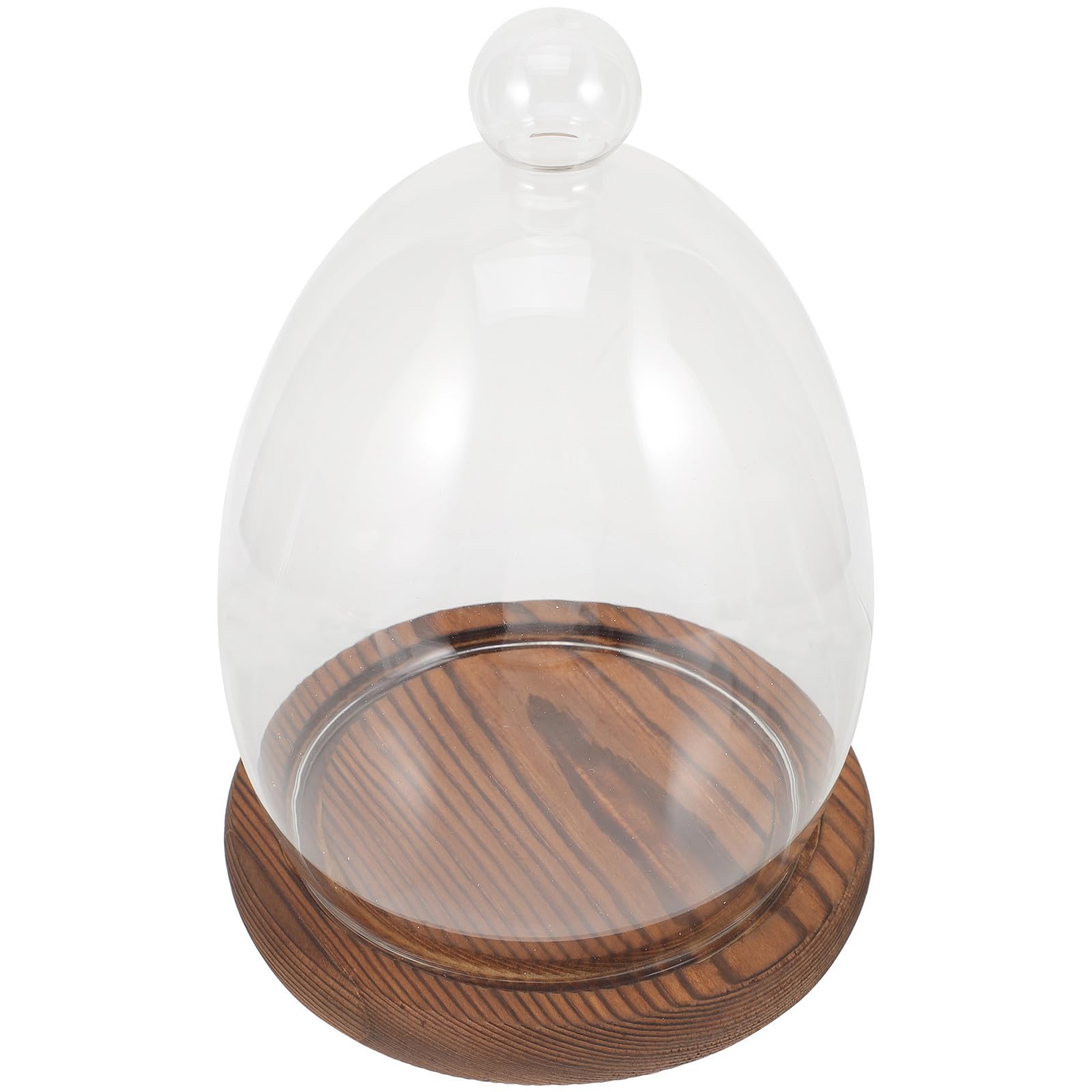Cúpula de vidrio decorativa FRCOLOR para centros de mesa en eventos y hogar