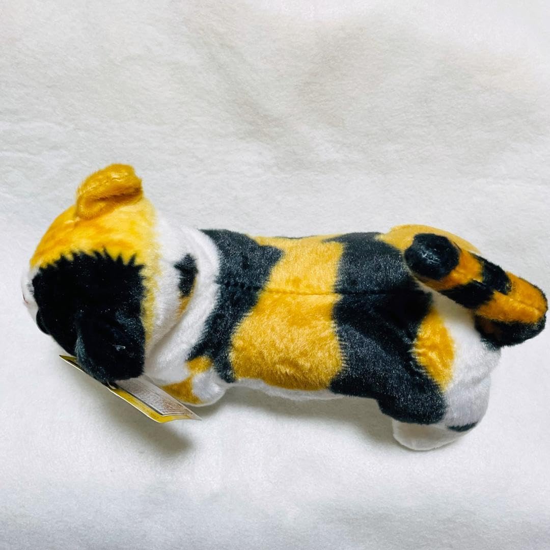 Amazon.co.jp: タグ付き リアルアニマル Cute子猫 ぬいぐるみ3