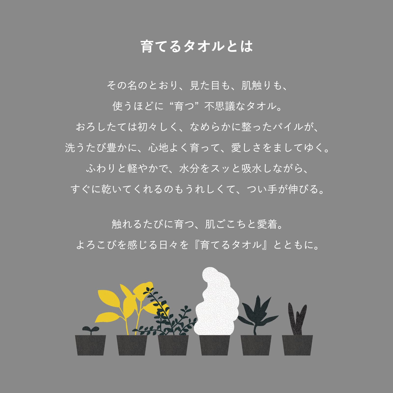 Amazon｜育てるタオル ＜OUTLET＞ ミニバスタオル2枚セット (フォグ