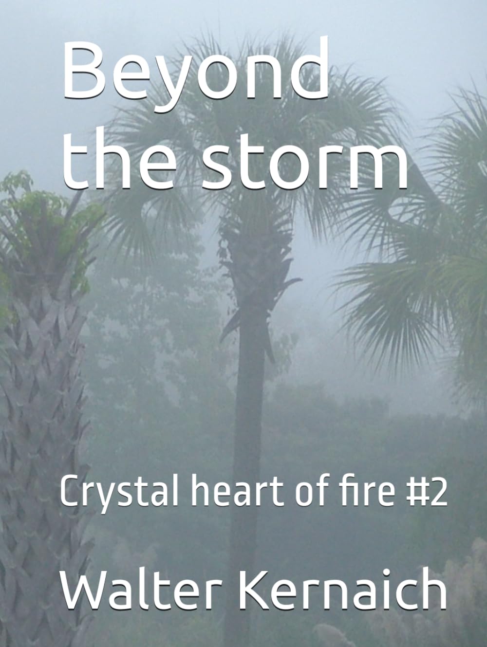 Beyond the storm: Crystal heart of fire #2