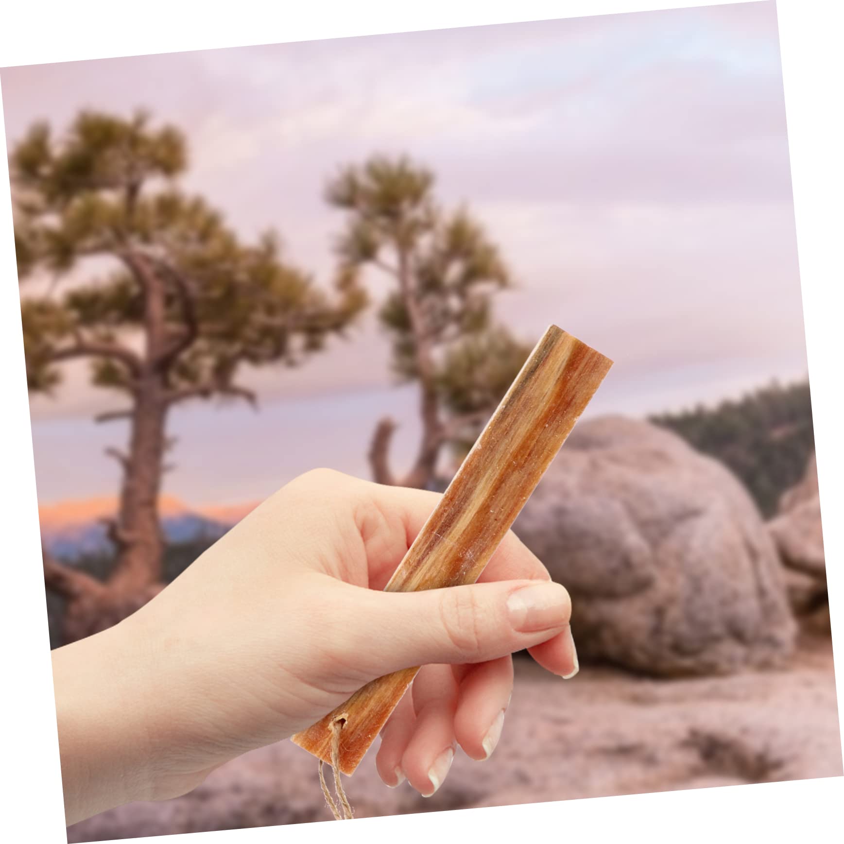 BESPORTBLE 6pièces Outils De Démarrage De Feu pour Camping Et Survie Plein Air Allume-feu Pratique Résistant Aux Intempéries pour Barbecue Et Randonnée