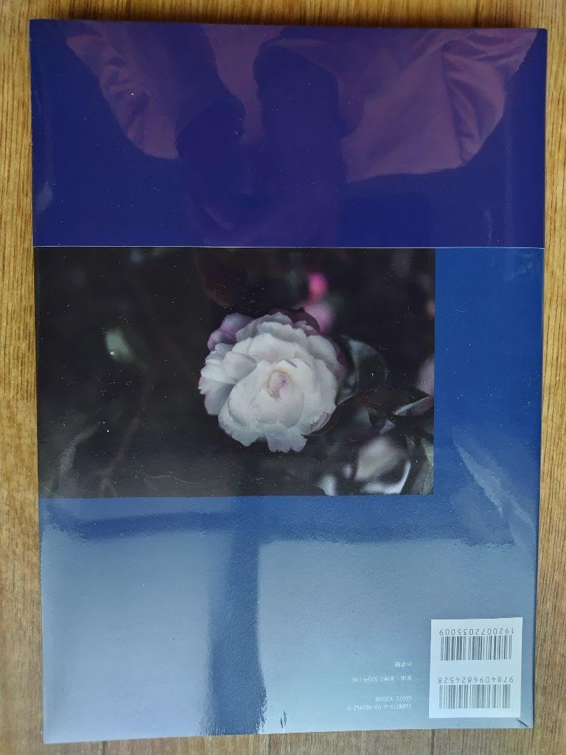 山崎真実　カメリア 