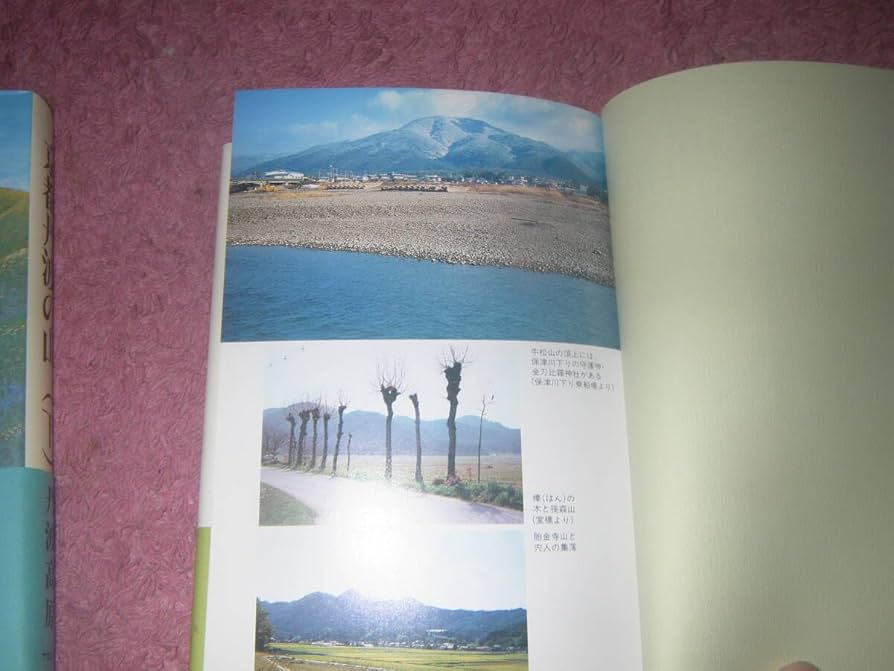 時間的展望研究ガイドブック/ナカニシヤ出版/都筑学（単行本） 時間的展望研究ガイドブック - 株式会社ナカニシヤ出版