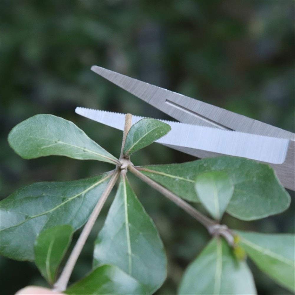 Forbici da potatura Giardino Tosaerba Forbici per Raccogliere la Frutta Giardinaggio Bonsai Forbici per potare i Rami Attrezzi per potatura Acciaio Inossidabile