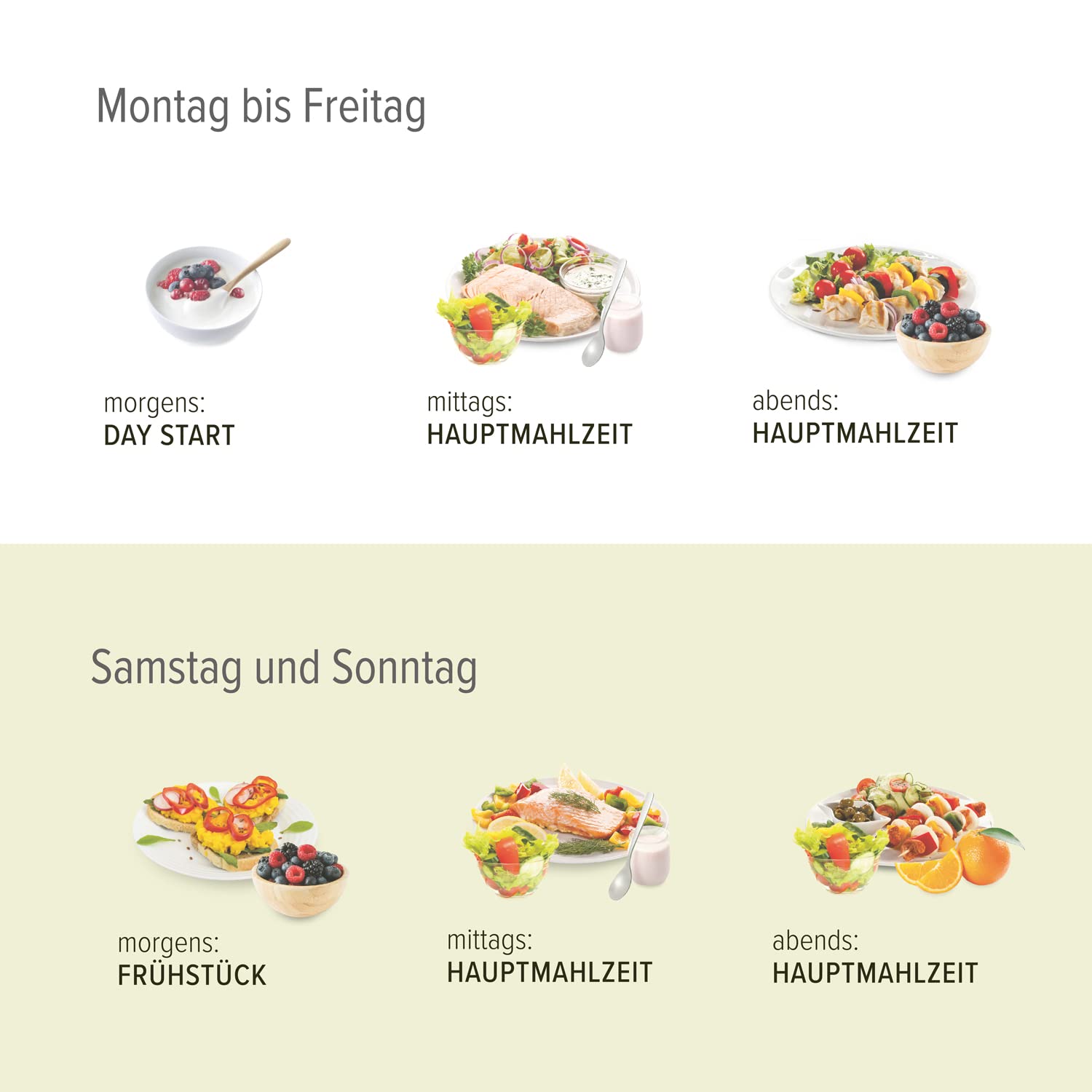 BODYMED Day Start Eiweißfrühstück | Figurbewusstes Frühstück | Mahlzeitersatz mit hochwertigem Molkeneiweiß | low-carb, mit Beta-Glucan und wichtigen Vitaminen und Mineralstoffen | 350g Dose