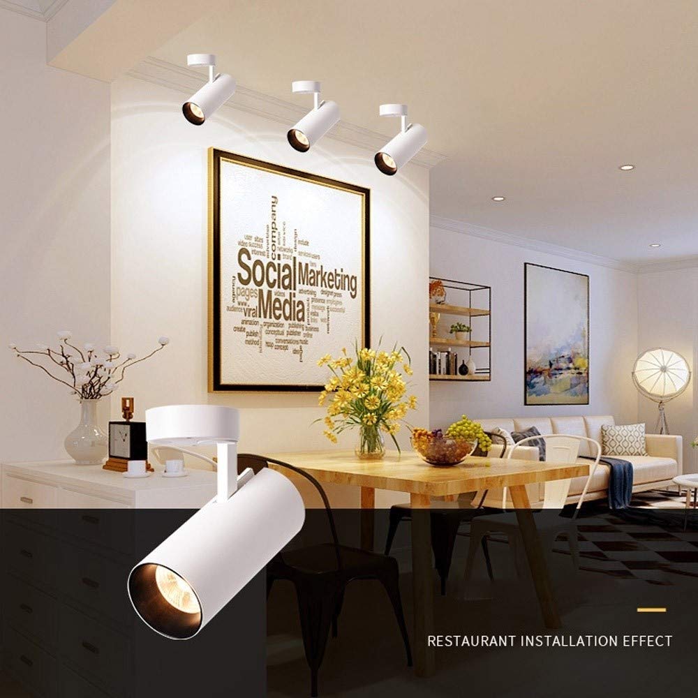 Amazon.co.jp : 12W COB LED表面実装スポットライト、絵画用アート