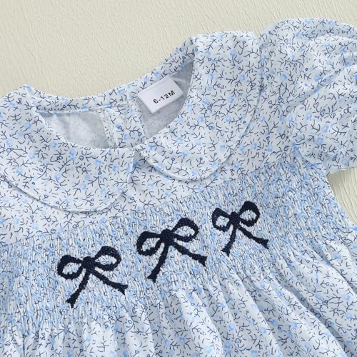 Toddler Baby Girl Summer Clothes Polo Short Sleeve Bow Embroidery Floral Dress Princess A-line Sundress2