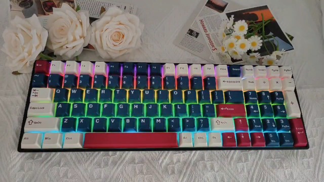 Amazon.com: FKZ DK96 Wireless Mechanical Keyboard,Tri-Mode BT5.0