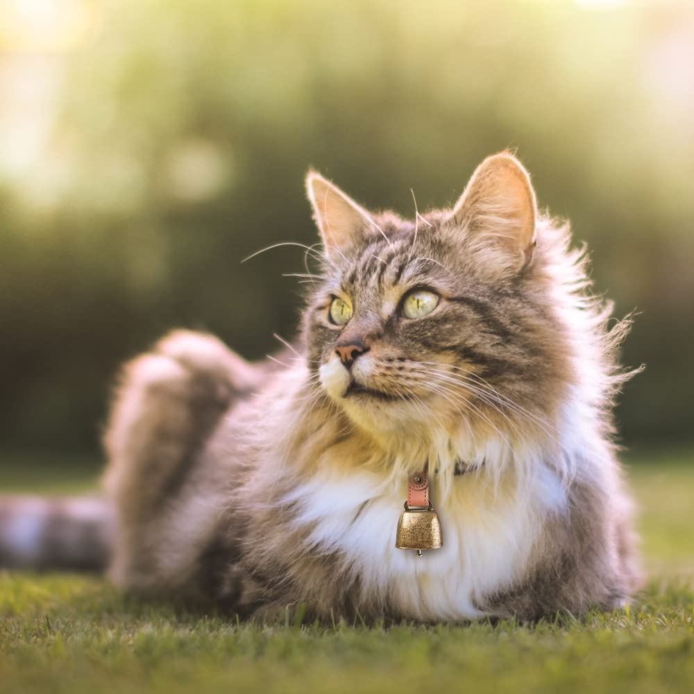 DONGKER Lot de 2 clochettes de collier pour chien et chat, cloches en métal pâturage en cuivre avec sangle bouton en cuir pour dressage d'animaux de compagnie