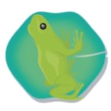 frog Do Not Stay Longer - on the lotus leaf