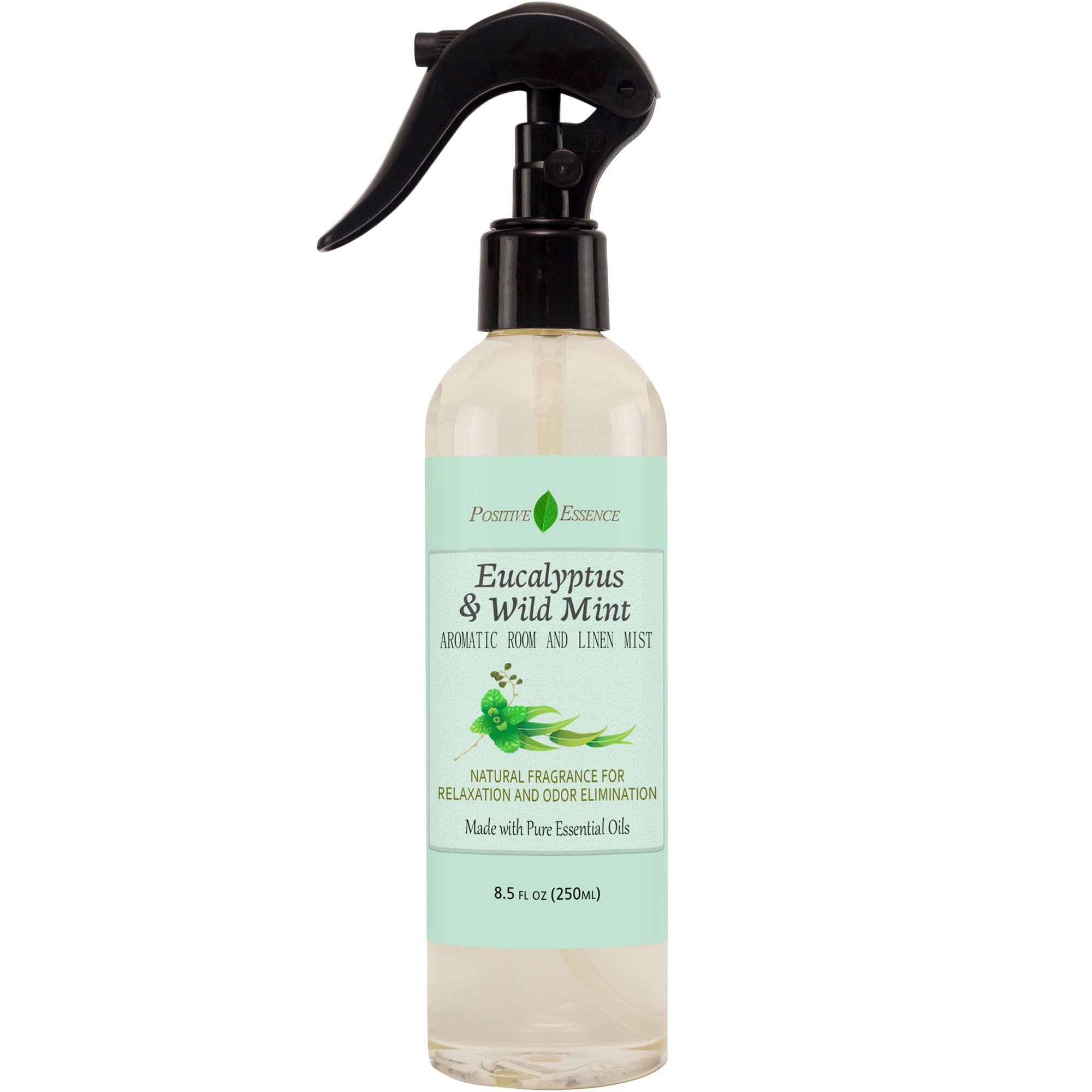 Eucalyptus and Wild Mint / 8.45 Fl Oz (Pack of 1)