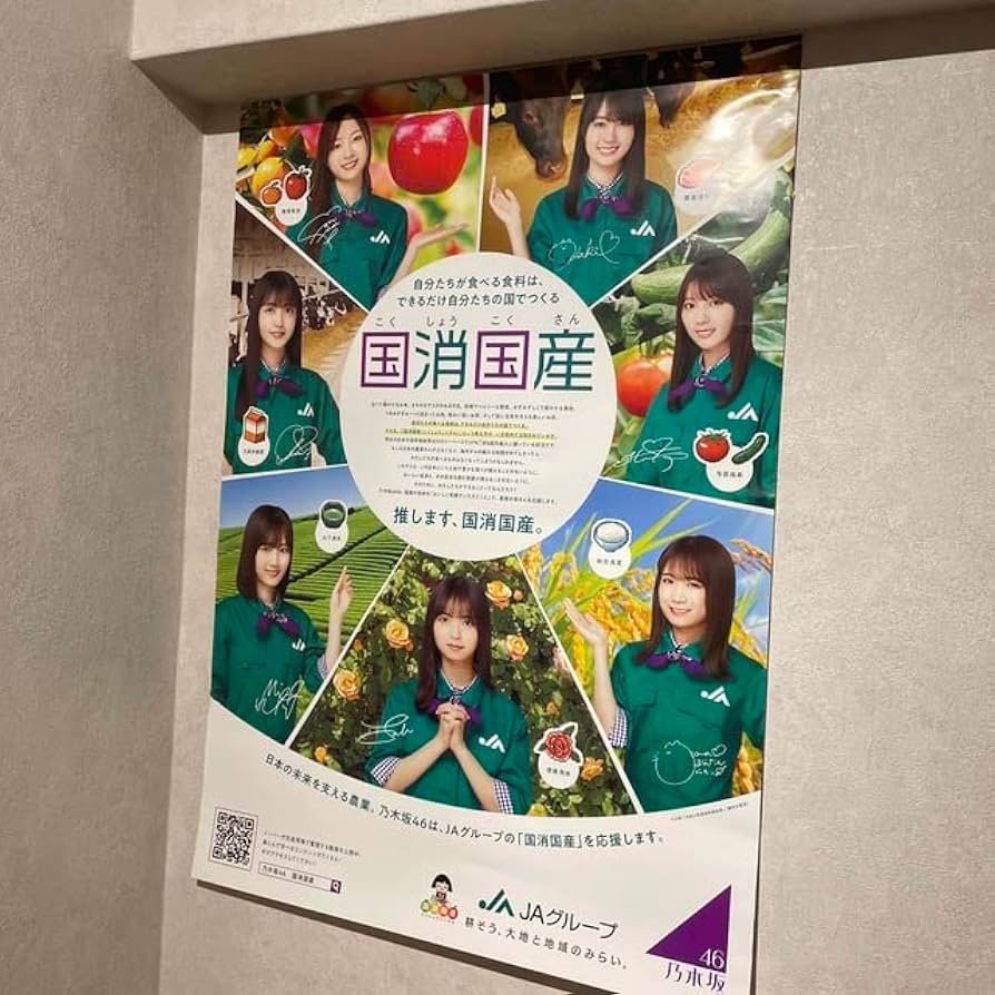 乃木坂46 ポスター 36枚セット Amazon.co.jp: 乃木坂46 ポスター JA国消国産 : おもちゃ