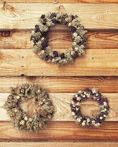 Sntieecr 8 Pieces 2 Sizes Natural Grapevine Wreaths Vine Branch Door Wreath Garland for DIY Craft Rattan Wreath, Wedding Party and Home Decors (10cm & 15cm)